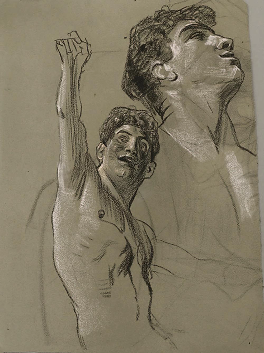 Studio di giovane uomo